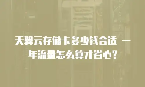 天翼云存储卡多少钱合适 一年流量怎么算才省心？