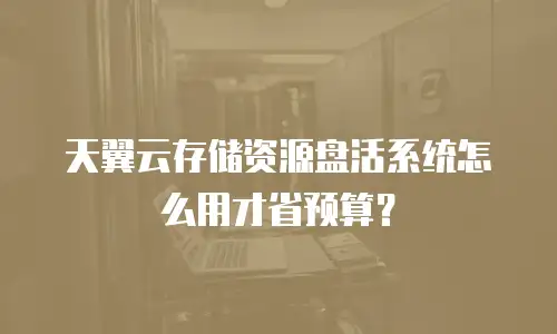 天翼云存储资源盘活系统怎么用才省预算？