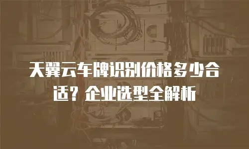 天翼云车牌识别价格多少合适？企业选型全解析