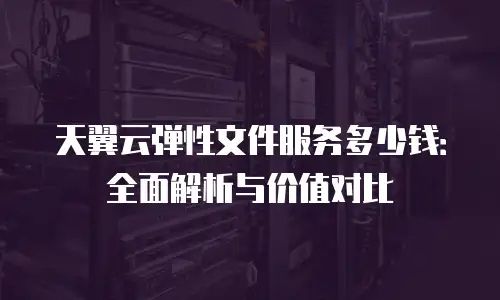 天翼云弹性文件服务多少钱：全面解析与价值对比