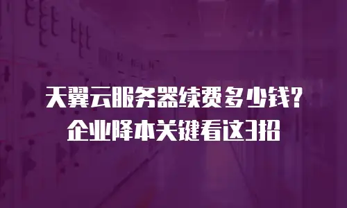 天翼云服务器续费多少钱？企业降本关键看这3招