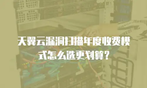 天翼云漏洞扫描年度收费模式怎么选更划算？