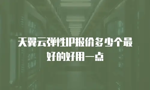 天翼云弹性IP报价多少个最好的好用一点