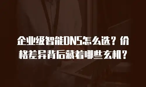 企业级智能DNS怎么选？价格差异背后藏着哪些玄机？