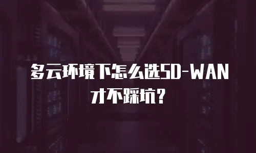 多云环境下怎么选SD-WAN才不踩坑？