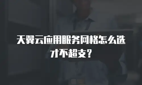 天翼云应用服务网格怎么选才不超支？
