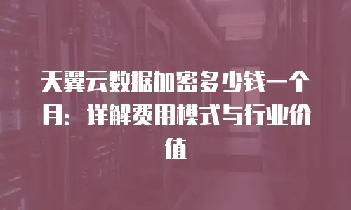 天翼云数据加密多少钱一个月：详解费用模式与行业价值