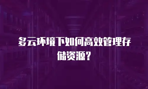 多云环境下如何高效管理存储资源？