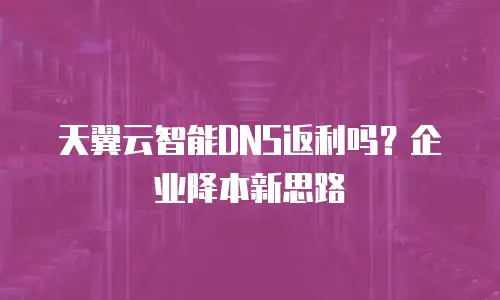 天翼云智能DNS返利吗？企业降本新思路