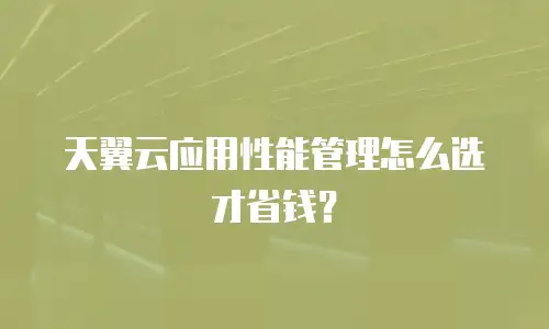 天翼云应用性能管理怎么选才省钱？