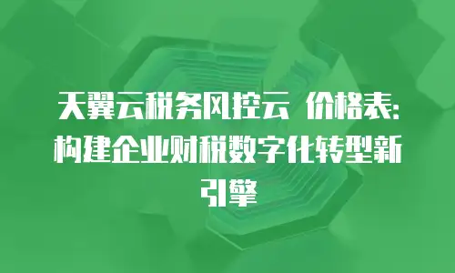 天翼云税务风控云 价格表：构建企业财税数字化转型新引擎