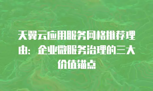 天翼云应用服务网格推荐理由：企业微服务治理的三大价值锚点