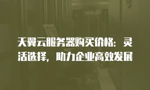 天翼云服务器购买价格：灵活选择，助力企业高效发展