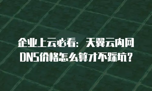 企业上云必看：天翼云内网DNS价格怎么算才不踩坑？