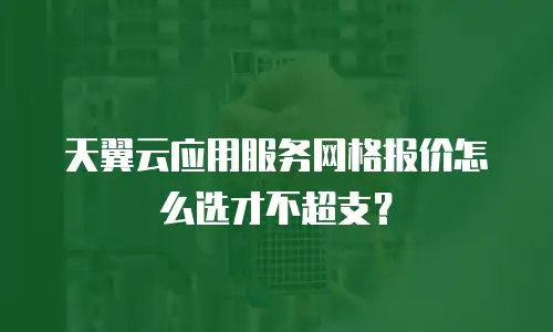 天翼云应用服务网格报价怎么选才不超支？