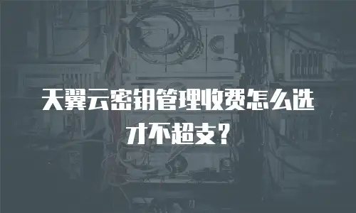 天翼云密钥管理收费怎么选才不超支？