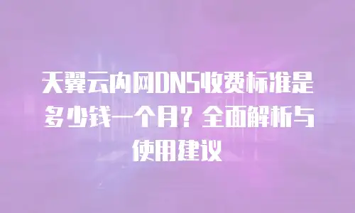 天翼云内网DNS收费标准是多少钱一个月？全面解析与使用建议