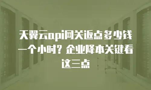 天翼云api网关返点多少钱一个小时？企业降本关键看这三点