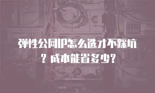 弹性公网IP怎么选才不踩坑？成本能省多少？