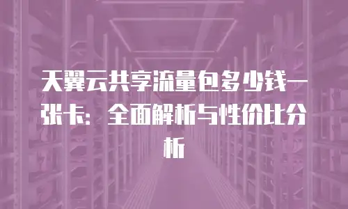 天翼云共享流量包多少钱一张卡：全面解析与性价比分析