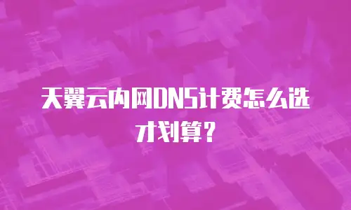 天翼云内网DNS计费怎么选才划算？