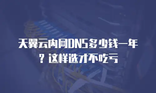 天翼云内网DNS多少钱一年？这样选才不吃亏