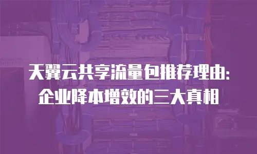 天翼云共享流量包推荐理由：企业降本增效的三大真相