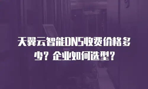 天翼云智能DNS收费价格多少？企业如何选型？