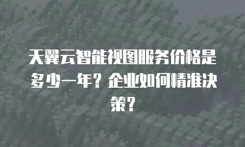 天翼云智能视图服务价格是多少一年？企业如何精准决策？