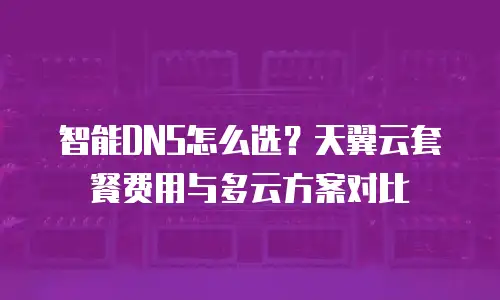 智能DNS怎么选？天翼云套餐费用与多云方案对比