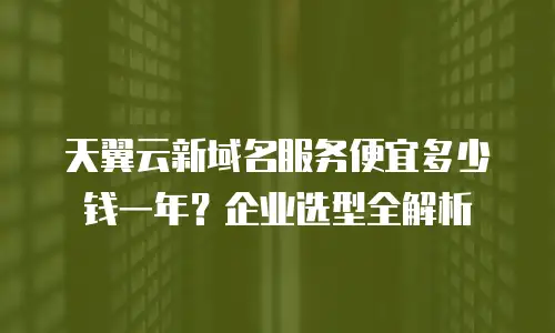 天翼云新域名服务便宜多少钱一年？企业选型全解析