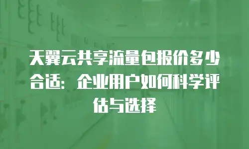 天翼云共享流量包报价多少合适：企业用户如何科学评估与选择
