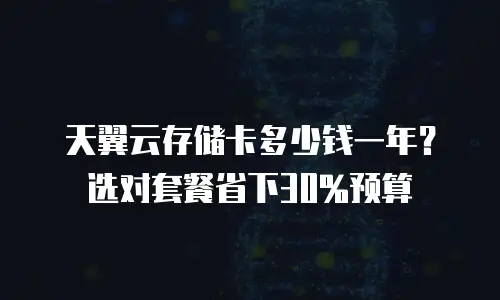 天翼云存储卡多少钱一年？选对套餐省下30%预算