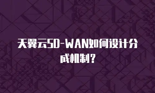 天翼云SD-WAN如何设计分成机制？