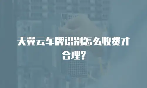 天翼云车牌识别怎么收费才合理？