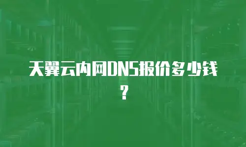 天翼云内网DNS报价多少钱？