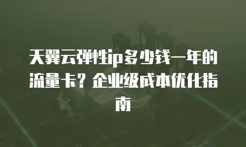 天翼云弹性ip多少钱一年的流量卡？企业级成本优化指南