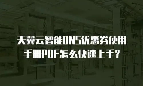天翼云智能DNS优惠券使用手册PDF怎么快速上手？