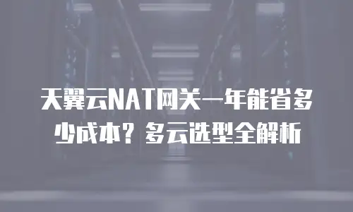 天翼云NAT网关一年能省多少成本？多云选型全解析