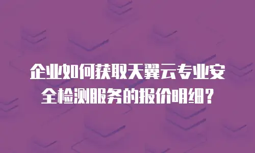 企业如何获取天翼云专业安全检测服务的报价明细？