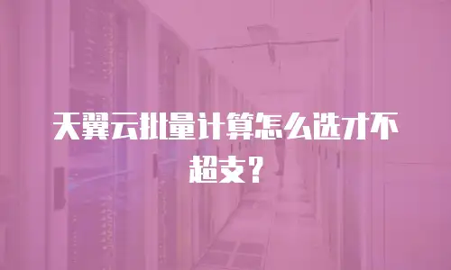 天翼云批量计算怎么选才不超支？