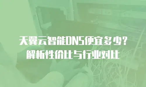 天翼云智能DNS便宜多少？解析性价比与行业对比