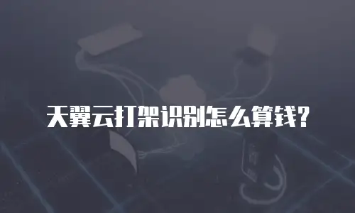 天翼云打架识别怎么算钱？