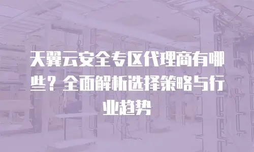 天翼云安全专区代理商有哪些？全面解析选择策略与行业趋势