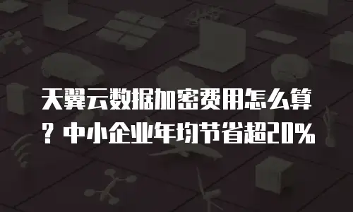 天翼云数据加密费用怎么算？中小企业年均节省超20%