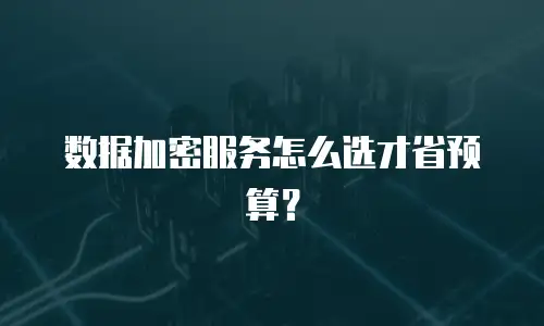 数据加密服务怎么选才省预算？