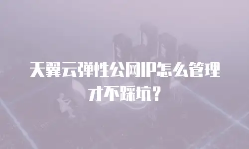 天翼云弹性公网IP怎么管理才不踩坑？
