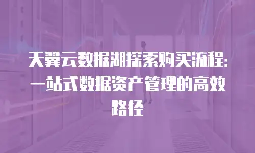 天翼云数据湖探索购买流程：一站式数据资产管理的高效路径