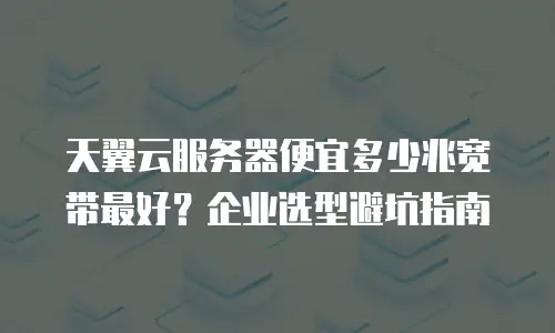天翼云服务器便宜多少兆宽带最好？企业选型避坑指南