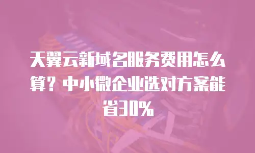 天翼云新域名服务费用怎么算？中小微企业选对方案能省30%